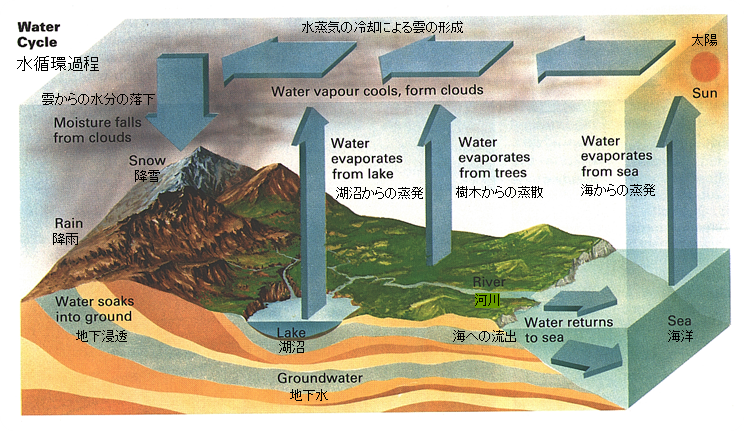 watercycle3