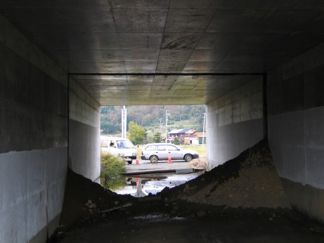 IMG_0080.jpg