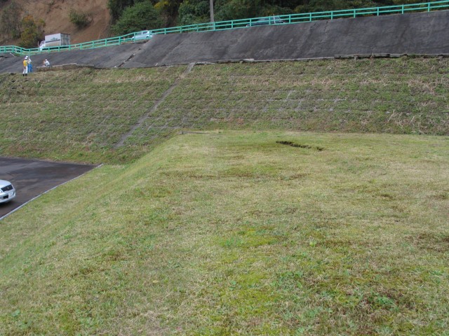 IMG_0100.jpg