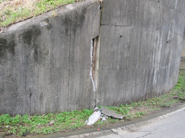 IMG_0020.jpg