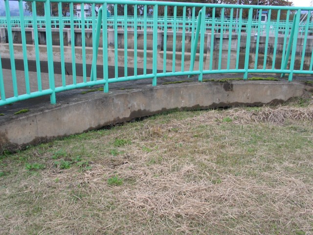 IMG_0032.jpg