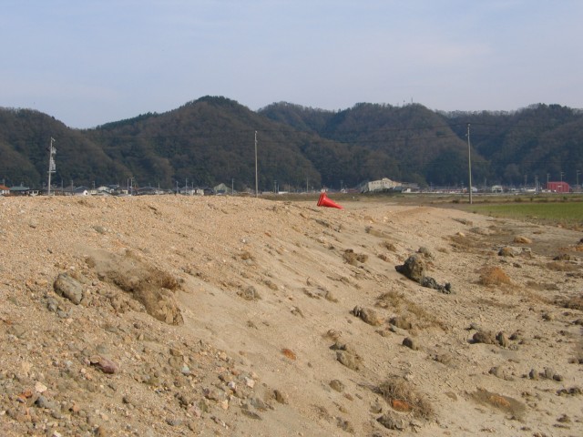 IMG_0020.jpg