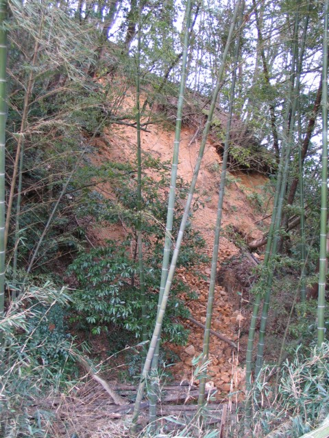 IMG_0049.jpg